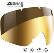 Julbo Zebra Photochromer Bildschirm